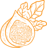 Shape Image